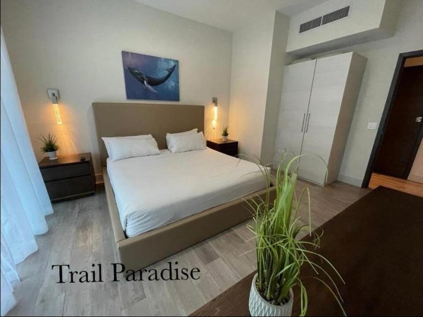 Costa Hollywood Steps To Beach المظهر الخارجي الصورة